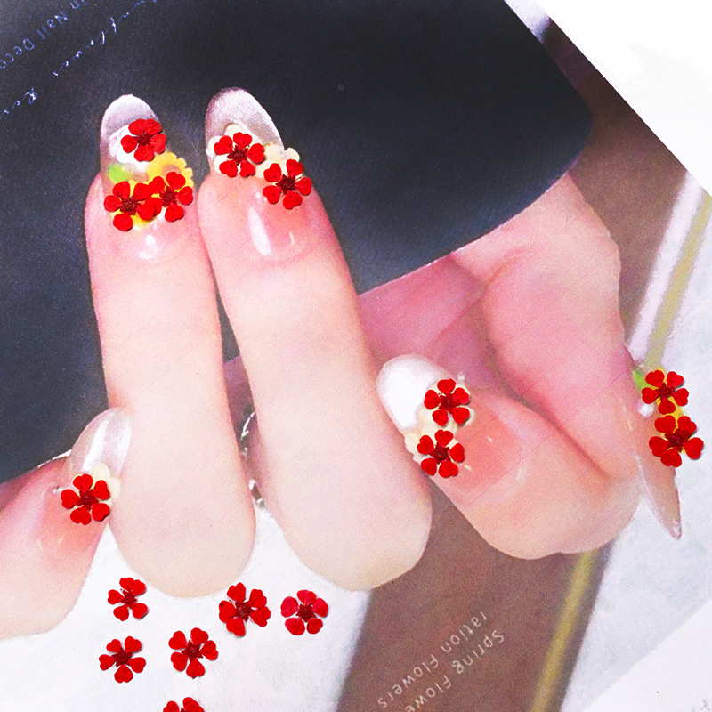 96 шт. миниатюрных натуральных – обзор и цена Art And Craft Photos